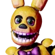 Spring Bonnie