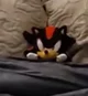 Shadow the Hedgehog