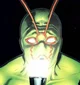 Ambush Bug