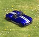 Cobra car AoE2
