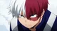 Shoto Todoroki 