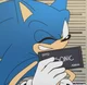 Criminal Sonic