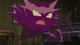 Haunter  Pokemon 