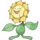 Sunflora