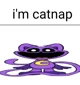 CatNap