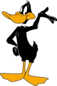 Daffy Duck -ZV-