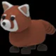 Red Panda