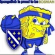 bosnian spongebob