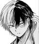 Shoto Todoroki