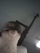 Alpaca capitalista