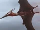 Rodan