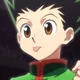 Gon Freecss