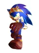 pirate sonic