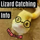 Lizard Catching Info