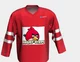 Angry birds hockey 
