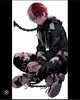 Todoroki Apocalypse