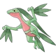 Grovyle
