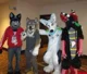 four furries