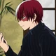 Shoto todoroki 