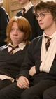 Harry y Ron