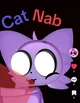 Cat Nab
