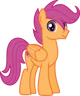Male Scootaloo