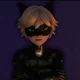 cat noir