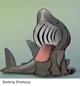 Basking shark puppy