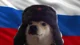 Russian Doge
