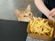 Cat eating fries