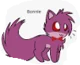 Bonnie kitten