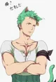 Cat boy zoro
