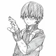 Shoto Todoroki 