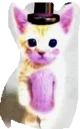 Helpy kitten