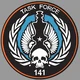 Task Force 141