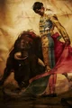 Bull Fighter