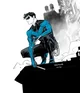 Nightwing