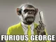 Furious George