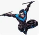 Nightwing
