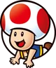 Toad