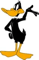 daffy  duck