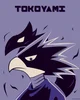 Tokoyami DS problems