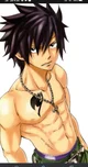 Gray Fullbuster