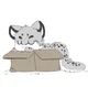 Snow Leopard in Box