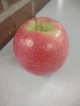Apple Danny