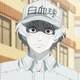 White blood cell 