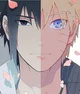 Sasuke and Naruto