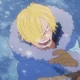 Sanji brother 
