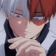Shoto Todoroki 