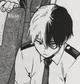Shoto Todoroki 